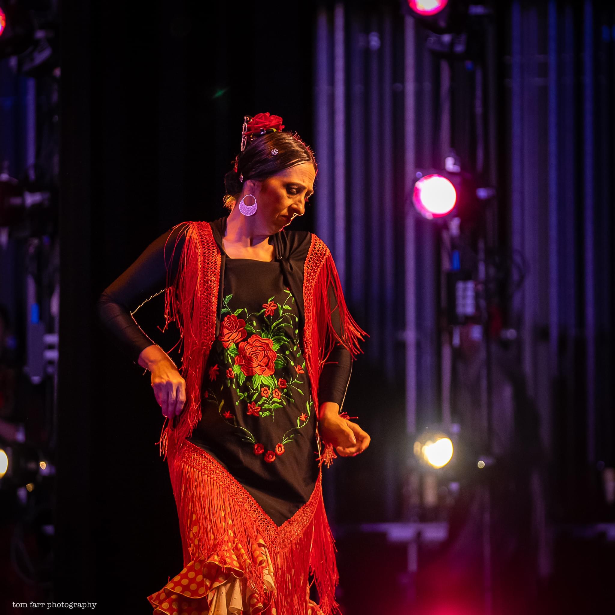 World Dance AVL | Global Dance Community & Events